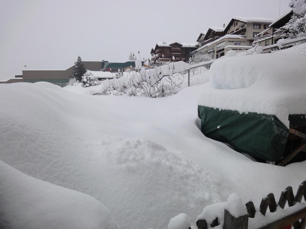 Lehmann'S Herberge Hostel Grindelwald Ngoại thất bức ảnh