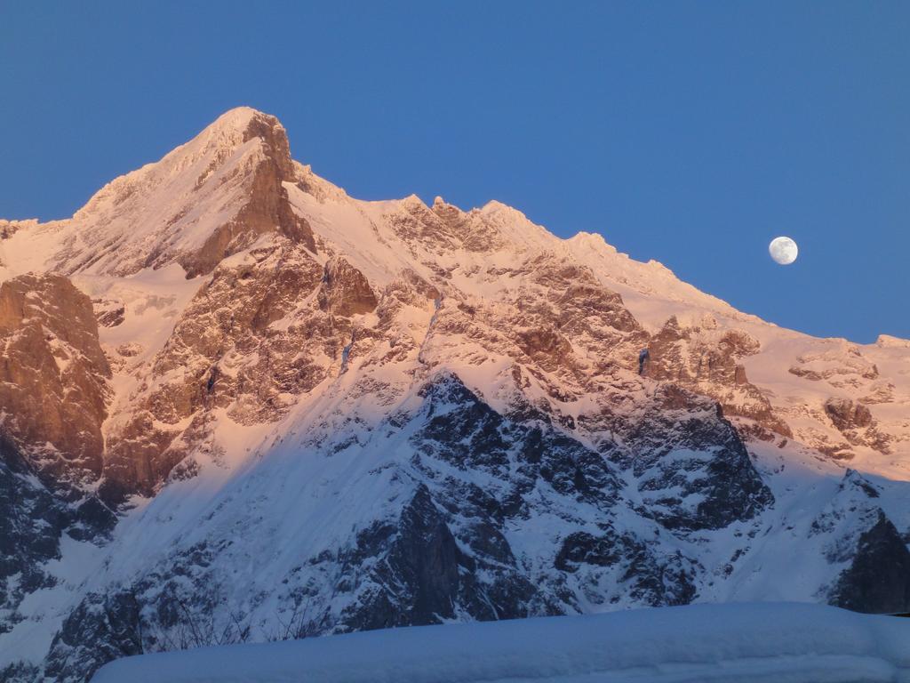 Lehmann'S Herberge Hostel Grindelwald Ngoại thất bức ảnh